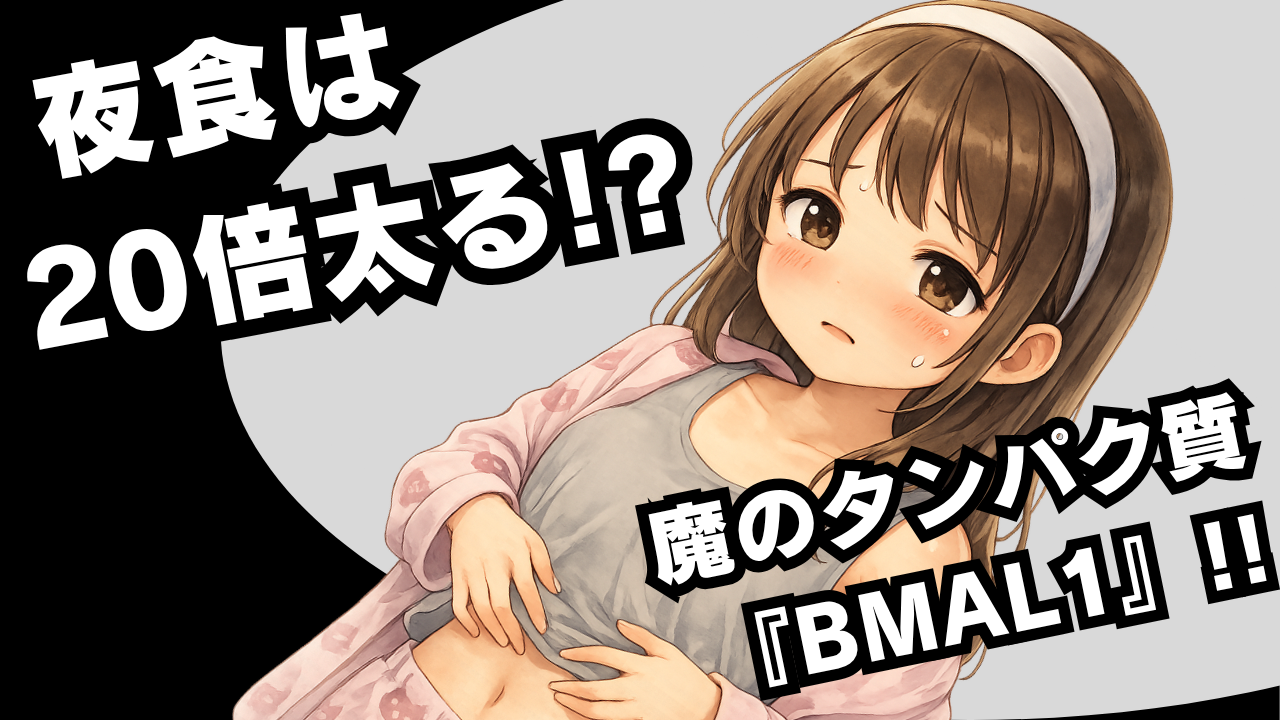 夜食は２０倍太る！？魔のタンパク質『BMAL1』の真実