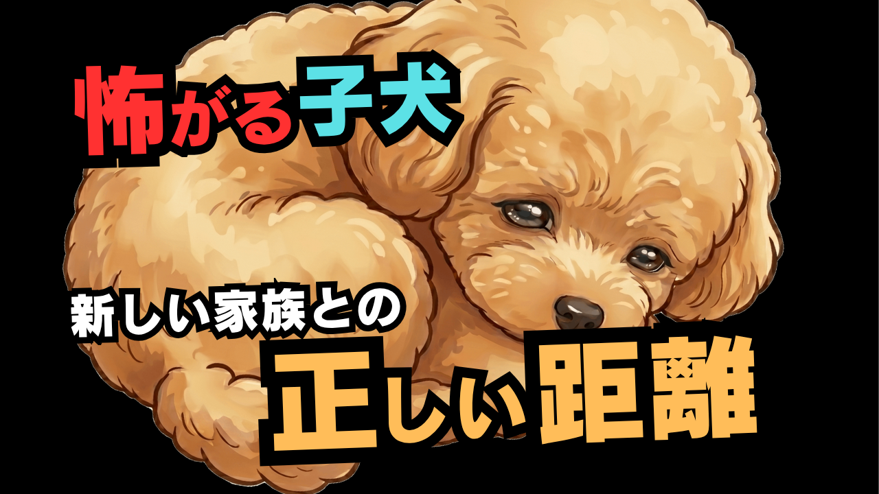 震える子犬が「心」を開く瞬間　言葉より大切な『静かな共鳴』の真実