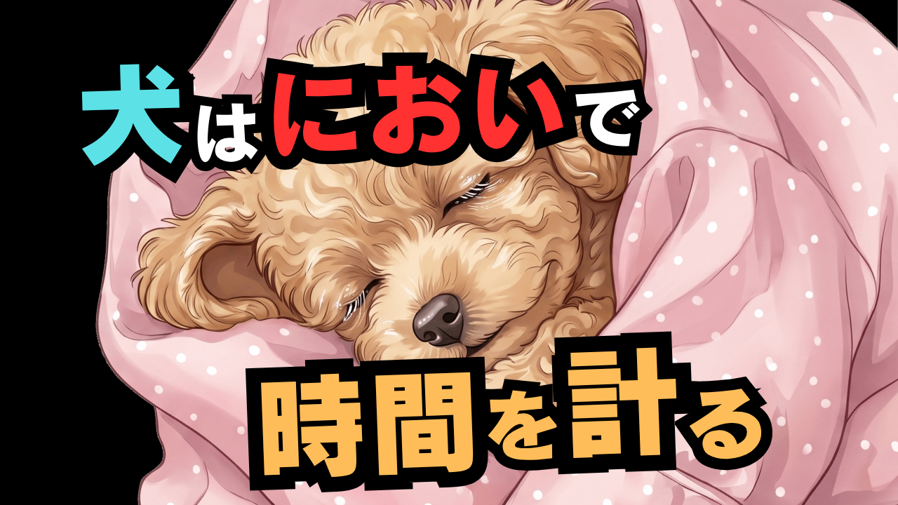 「におい」をカウントダウン　犬が玄関で待てる理由